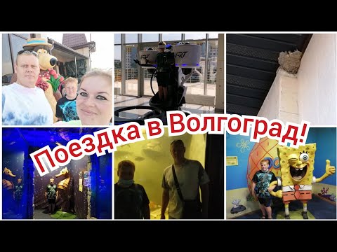 Видео: Волгоград! Океанариум! тц МАРМЕЛАД!!! Воробьиное гнездо!!!