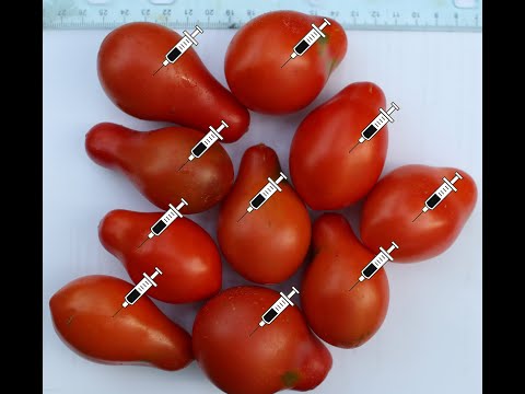 Видео: ГМО? Расслабьтесь. Это уже устарело!