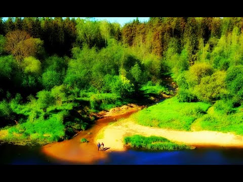 Видео: Ловля хариуса на микроречке. Ночёвки, готовим на костре, басятская кухня. #ADVENTURESBROTHERS