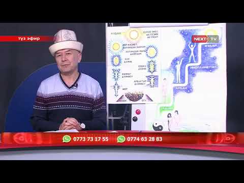 Видео: КУТ 212