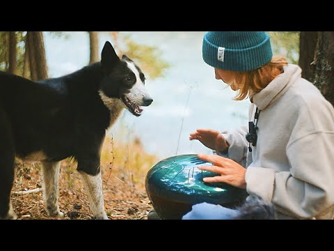 Видео: Игра на WOODY DRUM (новый вид язычкового барабана с деревянным корпусом) глюкофон, steel tongue drum