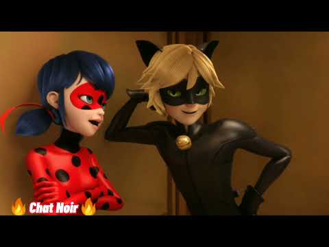 Видео: Леди Баг и Супер Кот - Температура 37.2 у мужа | Прикол