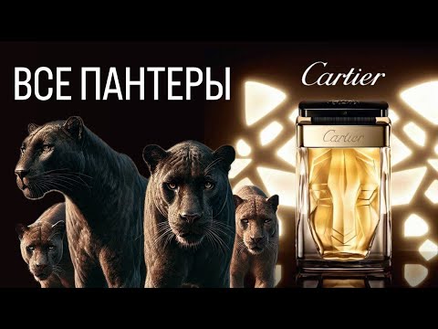 Видео: ВСЯ КОЛЛЕКЦИЯ ПАРФЮМОВ Panthere Cartier. Женственные шипры для независимых и грациозных.