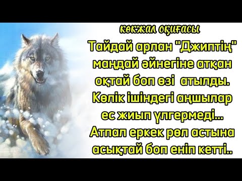 Видео: аңшы оқиғасы Көкжал мен ерегіскен жігіттерді қорқытқан әккі қасқыр