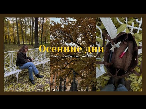 Видео: Осенние дни: теплая и красивая осень!