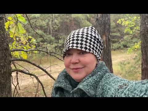 Видео: В лес по грибы! Только зашла и такой красавец! Как Светлана Журавлева грибы собирала там где их нет!