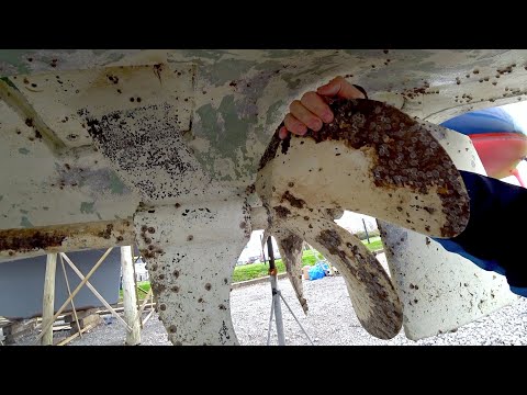 Видео: Днище то я вижу у лодки в первый раз (feat Gediminas)