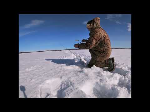 Видео: Рыбалка на Кольском,карась рулит(часть1)