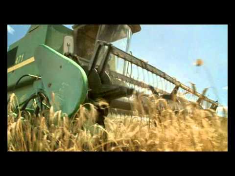 Видео: Кириешки "Крестики нолики"