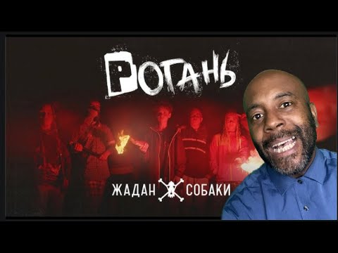 Видео: Жадан і Собаки – Рогань | REACTION