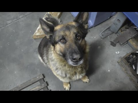 Видео: Класні пацани. Вал шестерня.