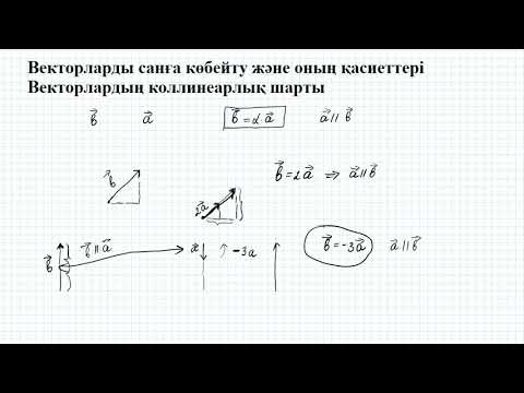 Видео: Векторларды санға көбейту. Коллинеарлық шарты | 9 сынып геометрия