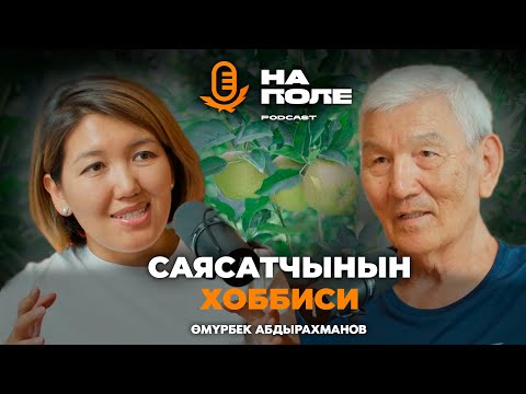 Видео: Саясатчынын хоббиси / Өмүрбек Абдырахманов / На поле подкаст