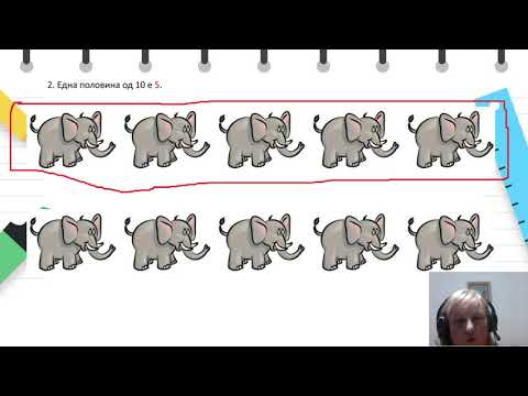 Видео: II одделение - Математика - Половина од група