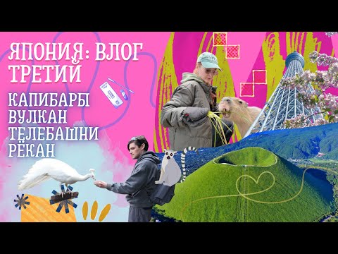 Видео: Из ТОКИО в КИОТО через ИТО: капибары, вулкан, рёкан и синкансен!
