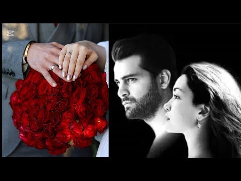 Видео: Пара голубей Эркан Мерич и Хазал Субаши#erkanmeriç#hazalsubasi#discover#newseries#