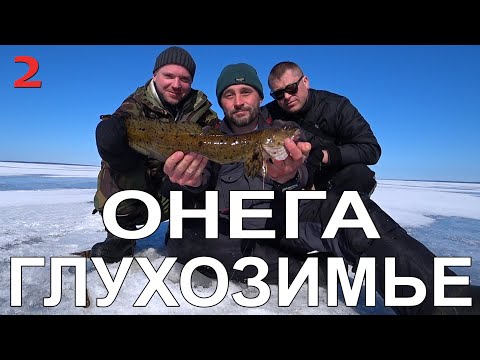 Видео: ВЕСЕННЕЕ ГЛУХОЗИМЬЕ НА ОНЕЖСКОМ ОЗЕРЕ. ЧАСТЬ 2.