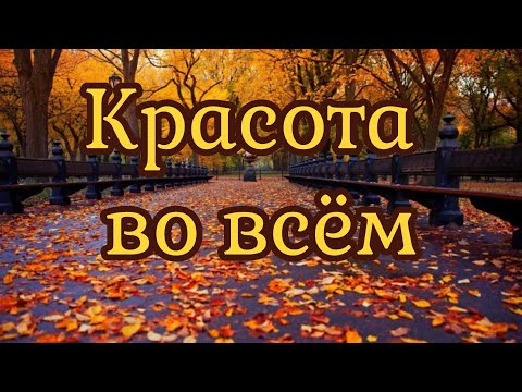 Видео: Красота во всём 