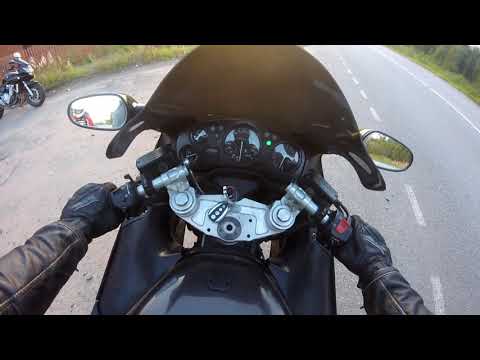 Видео: Наше короткое лето на Honda CBR 1100xx Blackbird
