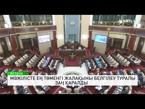 Видео: Мәжілісте ең төменгі жалақыны белгілеу туралы заң қаралды