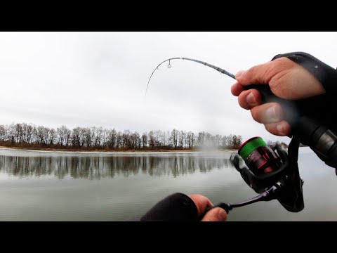 Видео: ТАК мы ещё НЕ ЗАКРЫВАЛИСЬ! Микроджиг с Arion 702 ULS 0.7—5 грамм в Ноябре! Приманки на окуня осенью