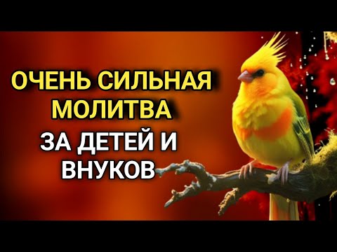Видео: МОЩНАЯ МОЛИТВА ЗА ДЕТЕЙ И ВНУКОВ СОХРАНИ ЭТУ МОЛИТВУ И ЧИТАЙ КАЖДЫЙ ДЕНЬ УТРОМ И ВЕЧЕРОМ 🤲✨💯