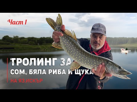 Видео: ТРОЛИНГ на яз. Искър за СОМ, БЯЛА РИБА и щука - 1 част