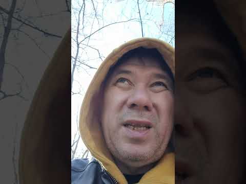 Видео: Урсосан с точки зрения хирурга!