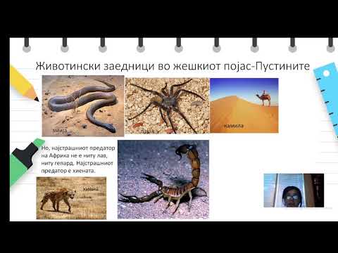Видео: VI одделение - Географија - Географска разместеност на животинскиот свет