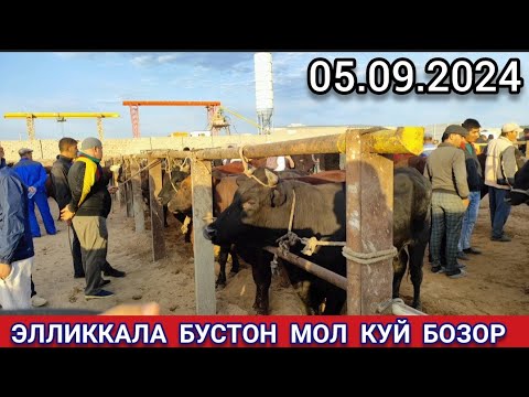 Видео: 5 сентября 2024 ЭЛЛИККАЛА БУСТОН МОЛ КУЙ БОЗОР НАРХИ