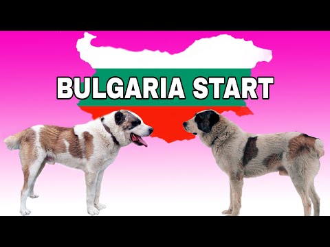 Видео: Болгария / Зарождение САО / Истории из жизни