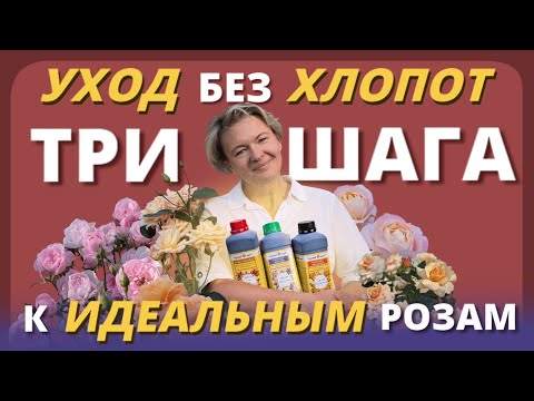 Видео: РОЗЫ - ЭТО ПРОСТО! Уход за розами без проблем и головной боли.