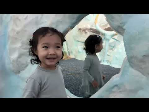 Видео: 30 декабря 2024 г.