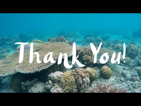 Видео: Вопросы и ответы для восемнадцати тысяч подписчиков аудиозаписей Your Stupid Boy!