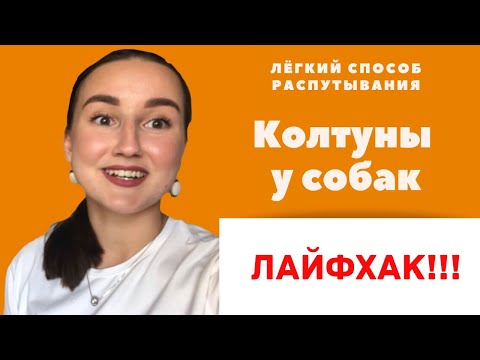 Видео: КОЛТУНЫ У СОБАК: лёгкий и быстрый способ вычёсывания (ЛАЙФХАК!)