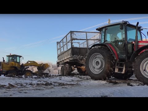 Видео: Чуть не положил погрузчик на бок! Эвакуация ДТ 75 ! Битва с навозом!