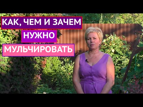 Видео: КАК МУЛЬЧА МОЖЕТ СПАСТИ ВАШ САД! ВСЕ ЧТО ВЫ НЕ ЗНАЛИ О ПРАВИЛЬНОМ МУЛЬЧИРОВАНИИ!!