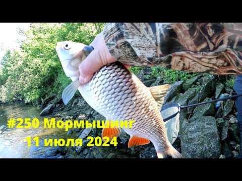 Видео: #250 Мормышинг на речке 11 июля 2024 г.