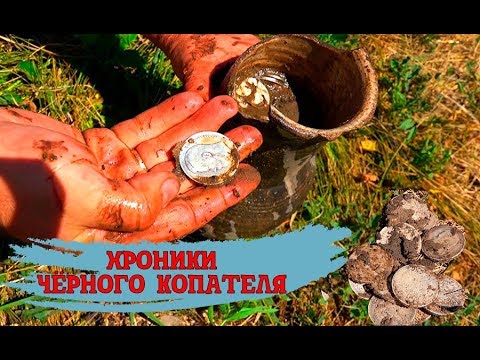 Видео: КЛАД СЕРЕБРА / ХРОНИКИ ЧЁРНОГО КОПАТЕЛЯ