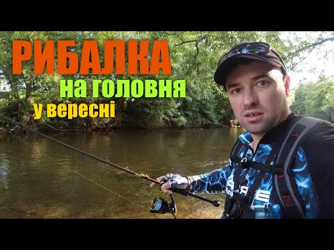 Видео: Рибалка на головня восени 2025 | Воблери кренки на річці — краще не буває!