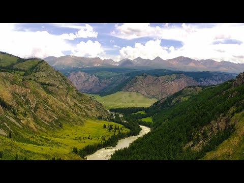 Видео: Горными тропами идем на #свидание с рекой Мажой. #алтай в июне 2024 года. Красота зашкаливает.