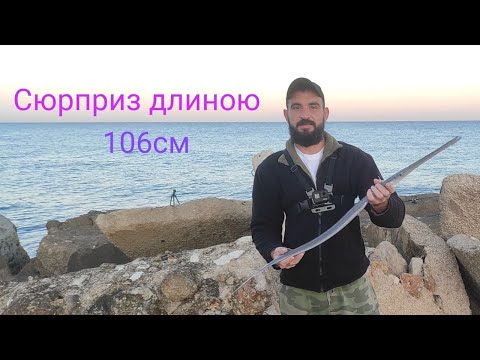 Видео: Первая морская рыбалка. Удача на седьмом забросе 6.11.21