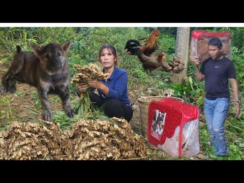 Видео: Выживание в дикой природе: когда доброта — ключ к успеху. Встречайте «Ли Сяо Аня»