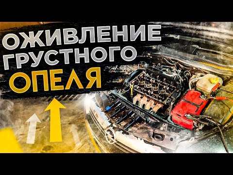 Видео: ОЖИВЛЕНИЕ УСТАВШЕГО МУТНОГО ОПЕЛЯ С Z18XER. ГЛОХНЕТ НА ХОЛОДНУЮ И ТРОИТ. ДИАГНОСТИКА, ПРОВЕРКА МЕТОК