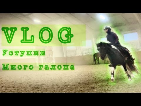 Видео: Коновлог l Тренировка на Нике l Уступки l Галоп