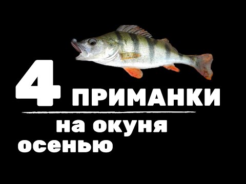 Видео: 4 приманки на окуня осенью. Где искать рыбу, какие веса и цвета использовать?