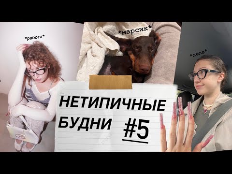 Видео: влог. нетипичные будни #5