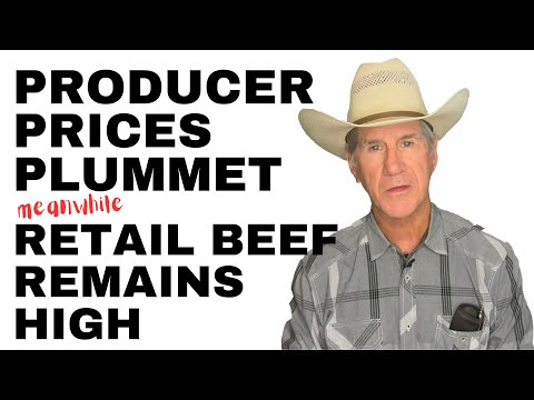 Видео: 120-фунтовый теленок. Прибыль $8.00 за фунт на этой неделе