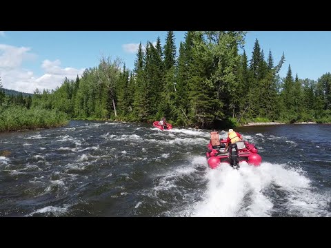 Видео: Встреча с МЕДВЕДЕМ в Саянскую тайгу за ХАРИУСОМ  живописная и чистая река, живем в избе готовим рыбу