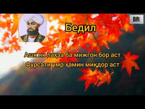 Видео: Бист байти Бедил